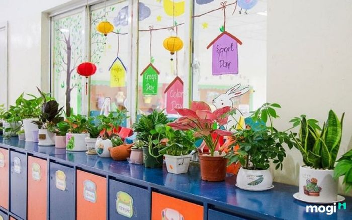 Trang trí cửa sổ để tăng thêm sức hấp dẫn cho không gian học tập