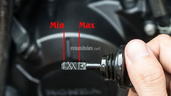 Hướng dẫn cách kiểm tra dầu nhớt xe máy đơn giản và hiệu quả