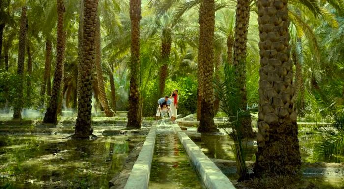 The Al Ain Oasis offers a refreshing escape from the sometimes oppressive heat.