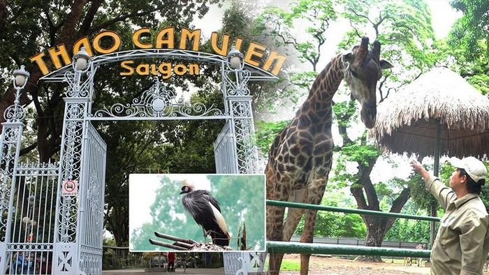 Thông Tin Tổng Quan Về Thảo Cầm Viên Sài Gòn