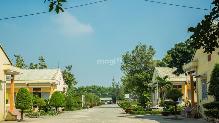 Trường Quân sự Quân đoàn 4