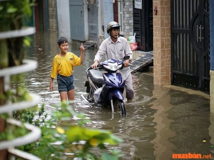7 bước thực hiện nâng nhà chống ngập và 7 giải pháp thay thế hiệu quả