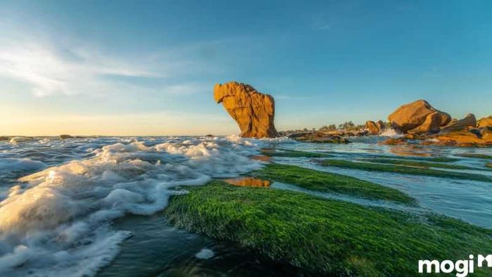 Cách đi đến bãi đá Cổ Thạch từ các địa phương khác