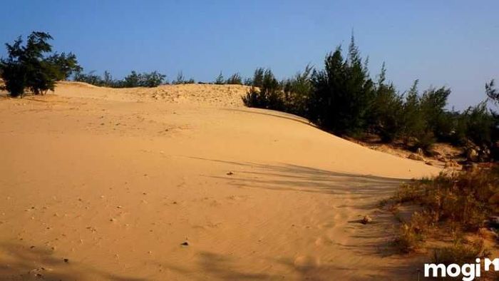 Đồi cát Bình Thạch, một điểm đến không thể bỏ qua khi du lịch gần bãi đá Cổ Thạch.