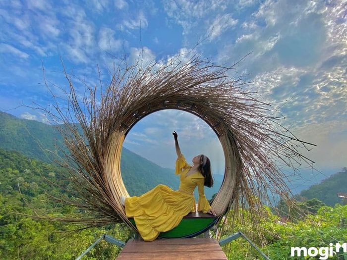 Cầu Mây Tam Đảo – Một điểm đến tuyệt vời cho những tín đồ mê sống ảo