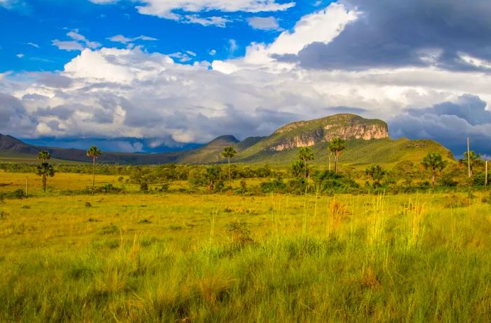 Jardim de Maytrea, nestled in the heart of Chapada dos Veadeiros National Park, is one of Brazil’s most enchanting spots.