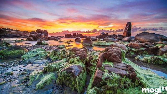 nên ghé thăm bãi đá cổ thạch vào thời gian nào?