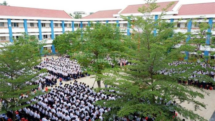 Các trường học gần ngã ba Đông Quang