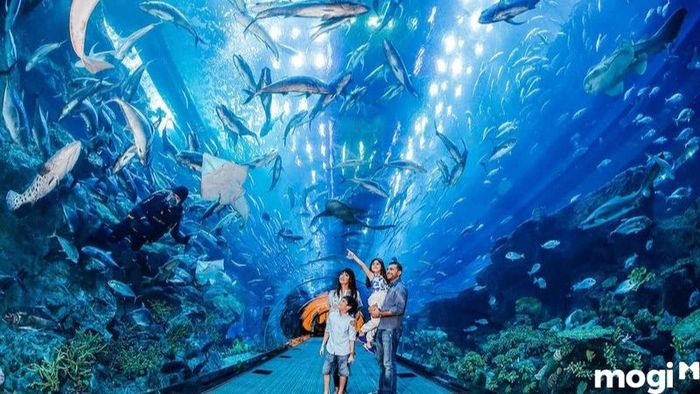 vien-hai-duong-hoc-nha-trang-7