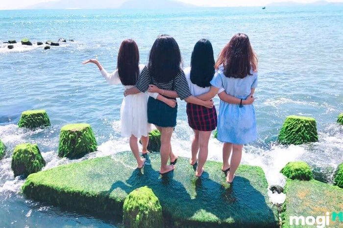 Chụp ảnh sống ảo tại đây không thể tuyệt vời hơn