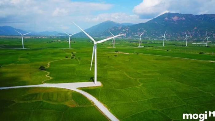 cánh đồng quạt gió tuy phong