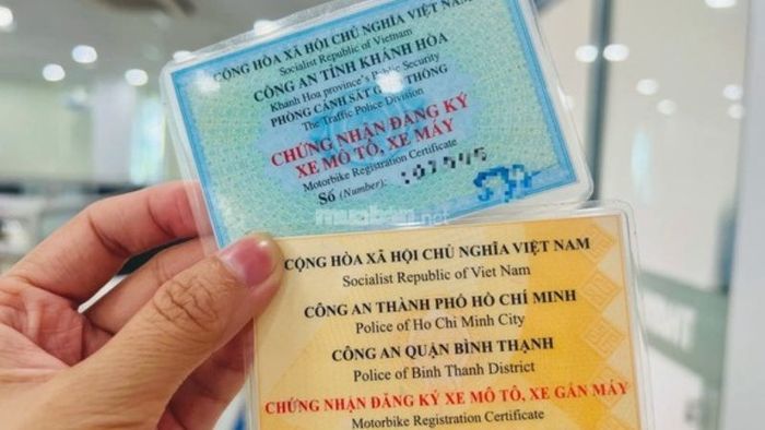 Khám phá thông tin về cà vẹt xe