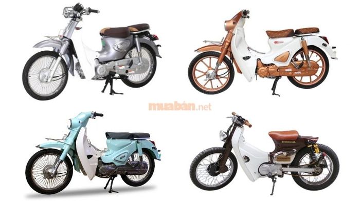Các mẫu xe Cub 50 độ ấn tượng dành cho những tín đồ đam mê xe.