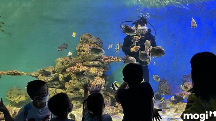 vien-hai-duong-hoc-nha-trang-13