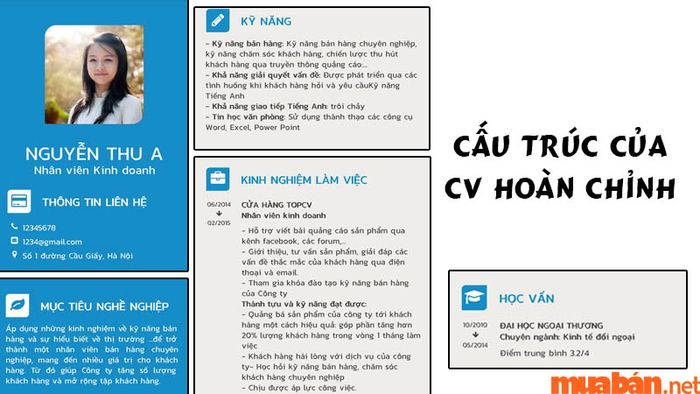Một CV hoàn chỉnh cần có 5 phần chính quan trọng
