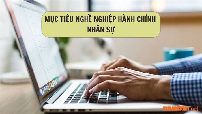 Cách viết mục tiêu nghề nghiệp hành chính nhân sự thu hút sự chú ý