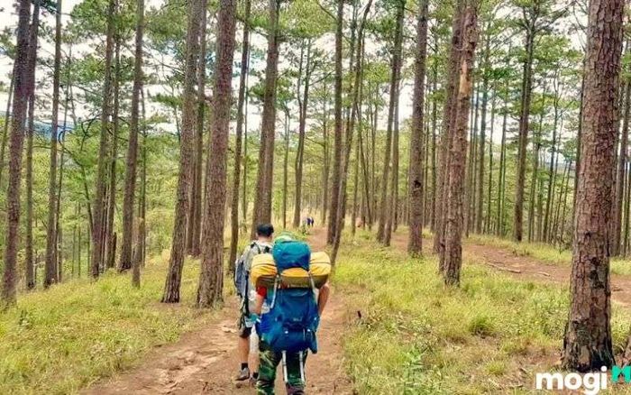 Tham gia các tour leo núi tại Langbiang