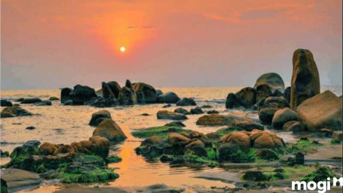 Khám Phá Bãi Đá Cổ Thạch - Điểm Đến Tuyệt Vời Của Bình Thuận