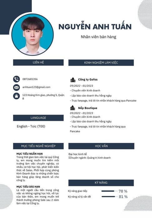 Mẫu CV xin việc ngành bán hàng 4 (Ảnh: Sưu tầm)