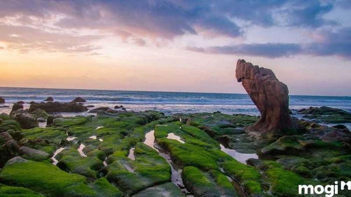 Bãi đá Cổ Thạch tọa lạc tại xã Bình Thạnh, huyện Tuy Phong, tỉnh Bình Thuận, một vị trí không thể bỏ qua khi khám phá vùng đất này.
