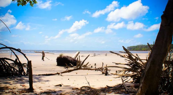 Ilha do Marajó has the atmosphere of a remote, uninhabited island. However, this sizable landmass in the Amazon River actually hosts a thriving community.