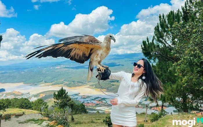 Ghi lại những khoảnh khắc đáng nhớ trong chuyến đi của bạn