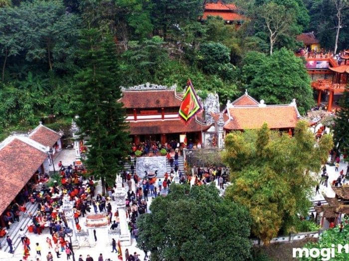 Cầu Mây Tam Đảo