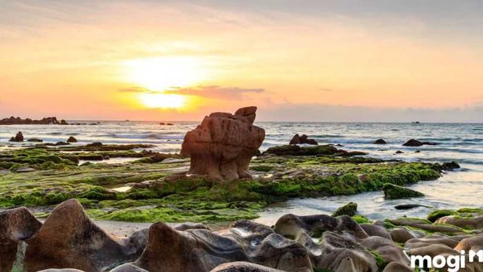 phương tiện di chuyển tới bãi đá cổ thạch