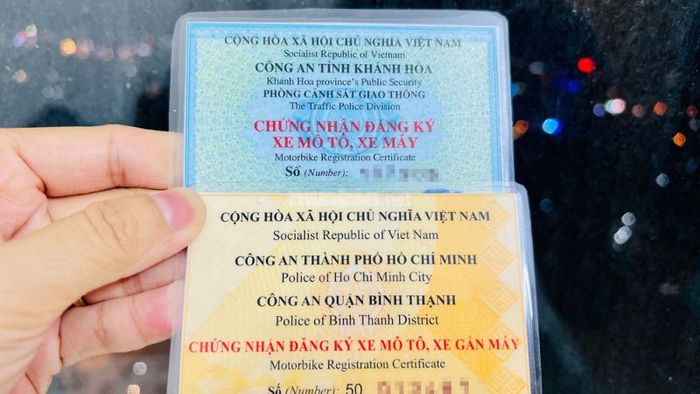 Cách nhận diện cà vẹt xe thật và giả chi tiết, dễ hiểu