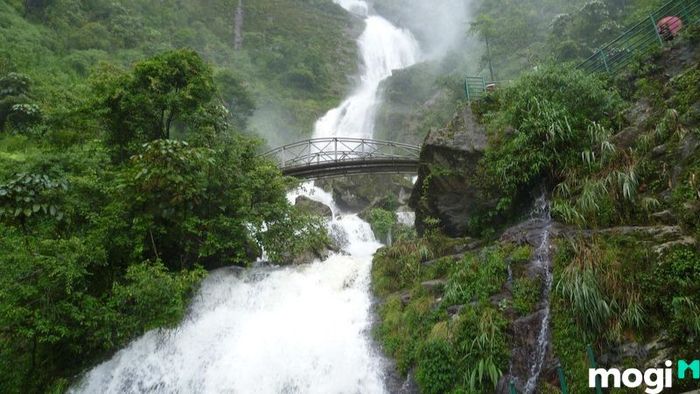 Du lịch Tam Đảo
