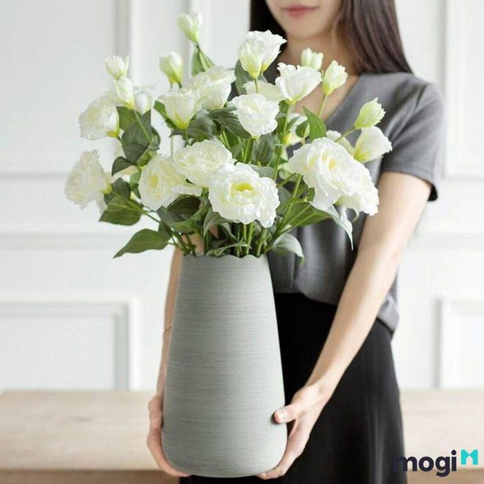 Hoa Cát Tường đỏ