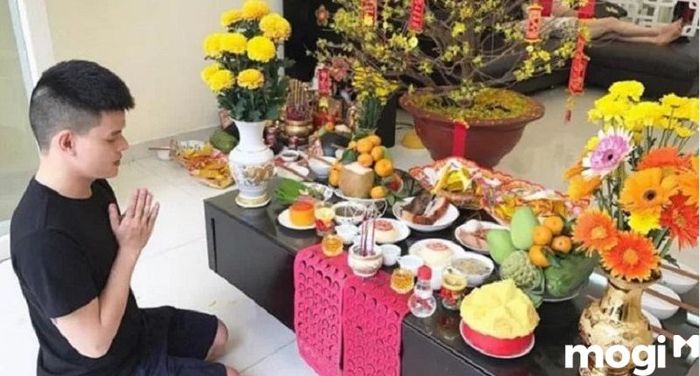 Khi chuyển vào nhà mới, bạn nên chọn loại hoa nào?