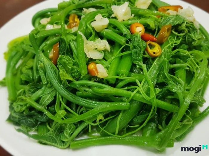 Ngọn Su Su