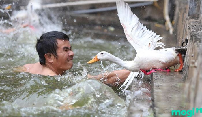Trò chơi thả vịt là một trong những hoạt động thú vị được tổ chức trong lễ hội tại đình Bình Thủy, mang lại niềm vui cho mọi người tham gia.