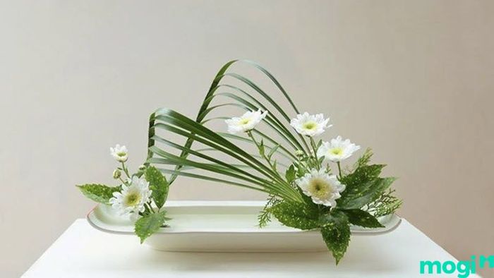Khi về nhà mới, việc chọn hoa phù hợp rất quan trọng. Vậy nên cắm hoa gì cho đúng?