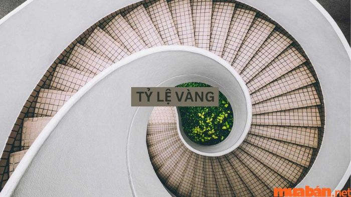 Tỷ lệ vàng trong bố cục Graphic Design là gì và tại sao nó quan trọng