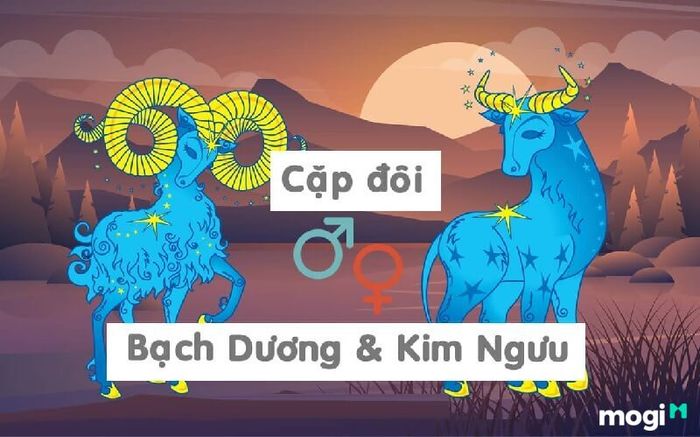 Mối quan hệ giữa nam Kim Ngưu và nữ Bạch Dương trong tình yêu