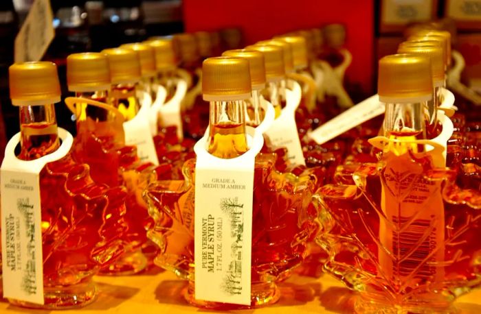 Maple syrup is harvested from the sap of maple trees.