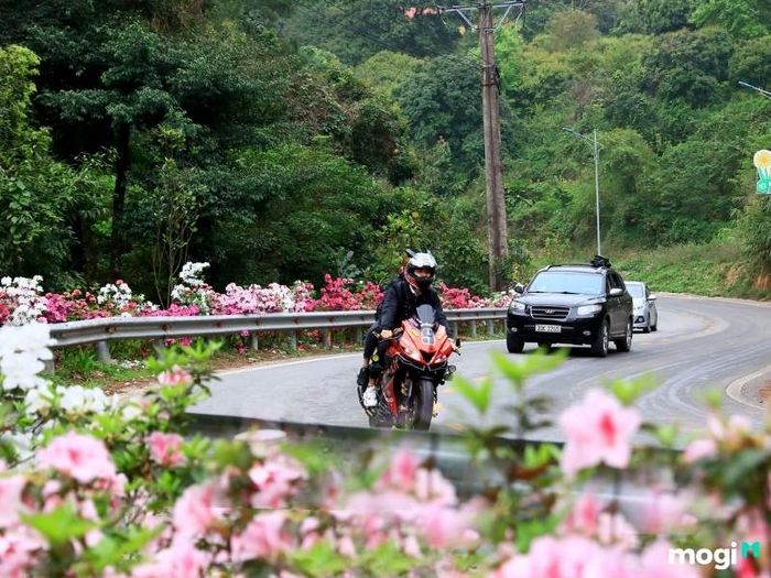 Khám Phá Tam Đảo Bằng Xe Máy