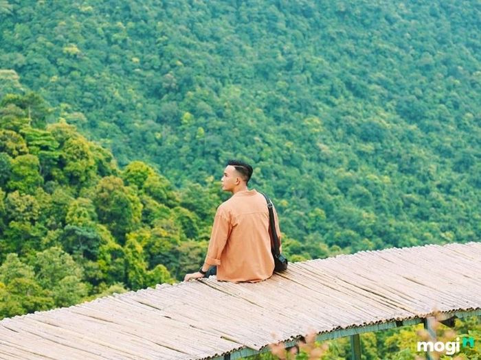 Cầu Mây Tam Đảo