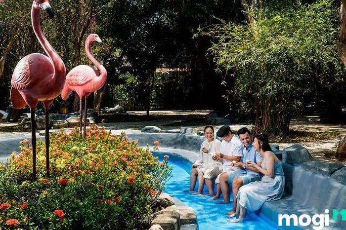 Giá vé tham quan suối nước nóng Bình Châu