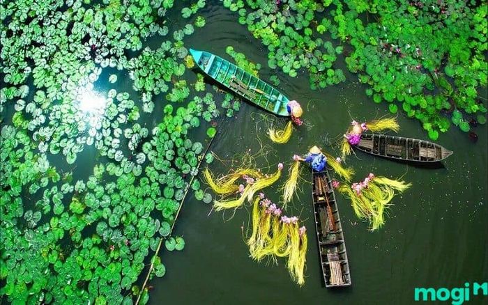 Điểm đến du lịch Đồng Tháp – Khám phá khu du lịch sinh thái Gáo Giồng tại Đồng Tháp