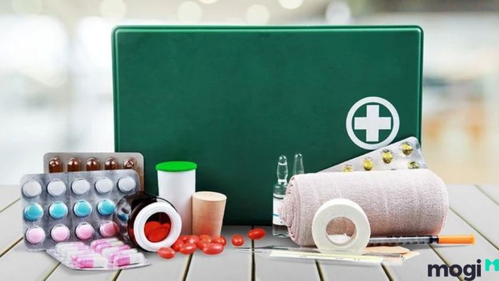 Khám phá và tận hưởng vẻ đẹp hoang sơ của rừng Nam Cát Tiên