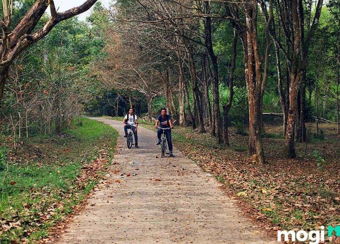 Rừng Nam Cát Tiên - Một Khu Rừng Tự Nhiên Đầy Hấp Dẫn