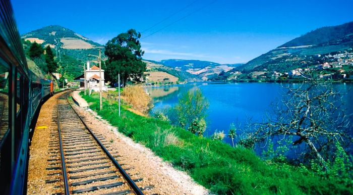 A scenic train journey along the Douro River Valley from Porto offers stunning views in Portugal.