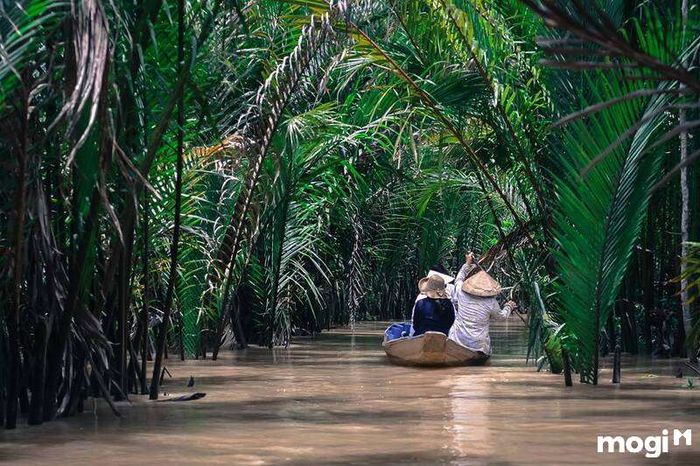 chợ nổi Phong Điền