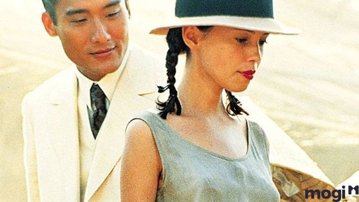 Nha-co-Huynh-Thuy-Le-4
