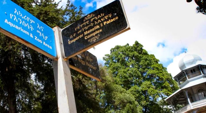 The park features a zoo, which will soon be home to an Abyssinian Lion.