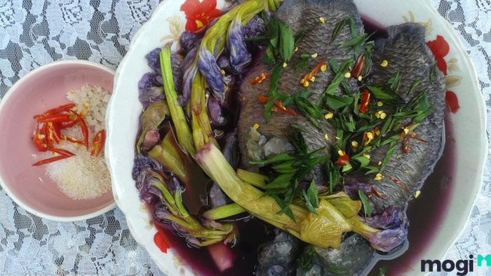 Rừng Nam Cát Tiên