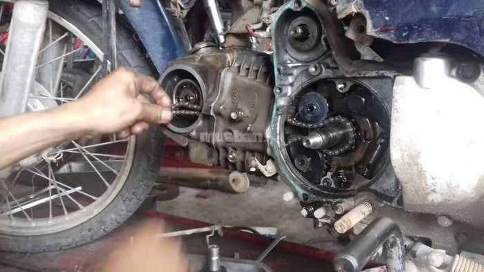 Nếu xích cam bị lỏng gây tiếng kêu rè rè, bạn có thể tự kiểm tra và sửa chữa ngay tại nhà